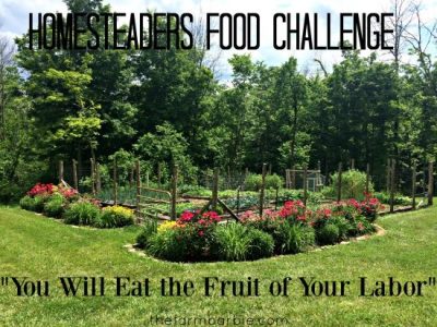 Homesteaders Food Challenge: Eat Your Yard Image